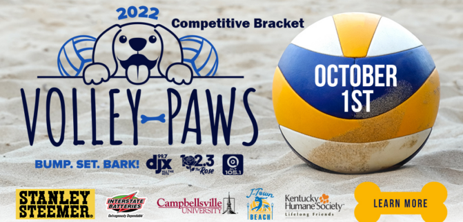 Volley-Paws Team Signup, Competitive Bracket