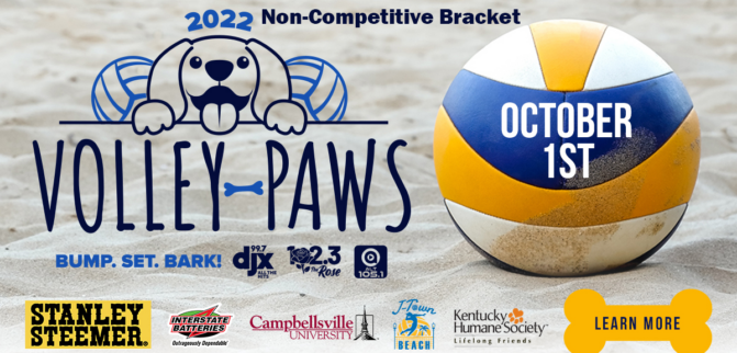 Volley-Paws Team Signup, Non-Competitive Bracket